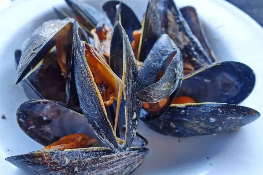 Recipe of Creamed mussels