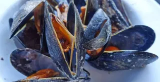 Recipe of Creamed mussels