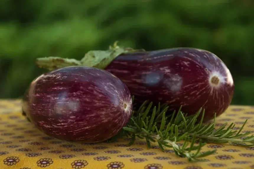 Recipe of Moussaka in an air fryer