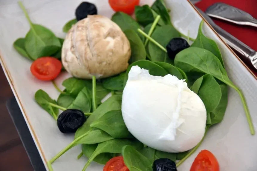 Recipe of Mozzarella