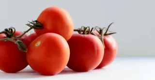 Recipe of Tomato sauce