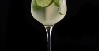 Recipe of Vodka tonic